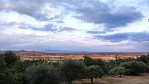 Happy Tuscany