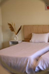 Spacious room in the heart of Cairo