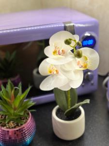 Nice flat with privet entrance