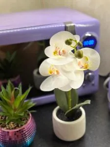 Nice flat with privet entrance - The Hyde