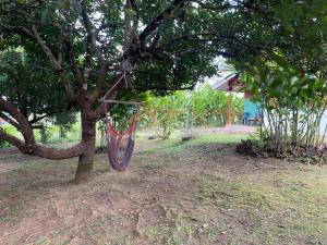 Cabaña Rural Ave del Paraíso