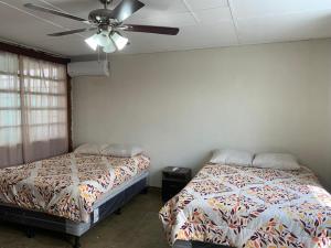 Hostal primaveras nest