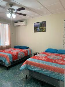 Hostal primaveras nest