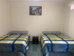 Hostal primaveras nest
