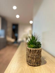 Spacious Central Apartment Terrace Gym Free Parking