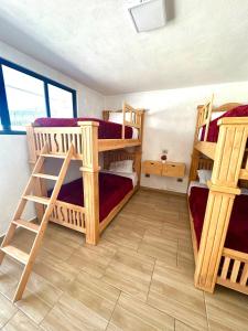 Garden and Villas Yami