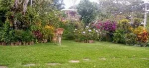 Cabaña Mi Bello Jardín, Privado, Zona Urbana - Concepción de Ataco