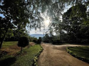 A gateway to paradise