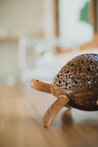 Turtle Tales-Tahnu,Thaimueang beach,Phang-Nga