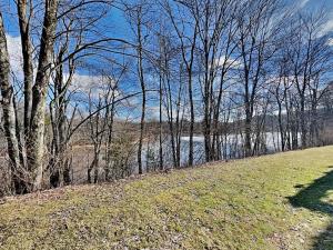 Deep Creek Village #33