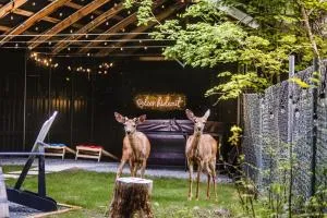 Log Cabin with King Bed and Hot Tub - Randle