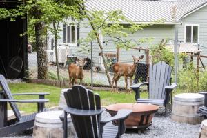 Log Cabin with King Bed and Hot Tub