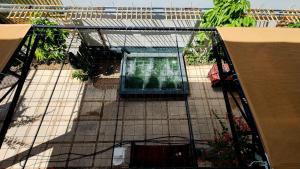 Quân Phát Villa Homestay Phan Thiết