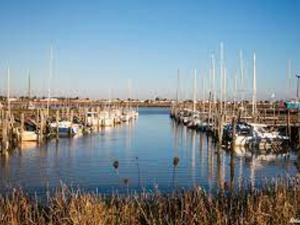 Maisons de vacances Agreable maisonnette avec jardin, piscine collective, proche mer - FR-1-194-291 : photos des chambres