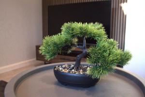 Luxury 3 bedroom house in Harlow, Essex