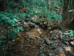 Tiny Base The MOUNTAiN