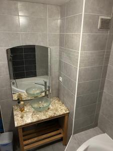 Appartements Les Berges du Thiou Annecy Lac : photos des chambres