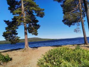 Einzelzimmer Souterrain Lappland Schweden