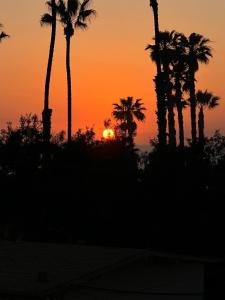 Close to Ocean and Beach