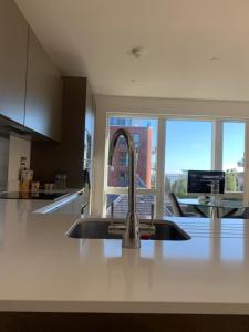 Luxury Riverside Apartment