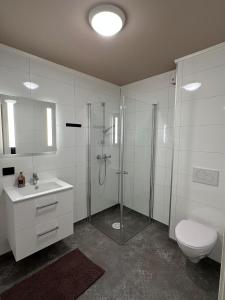 Central apartment from 2025