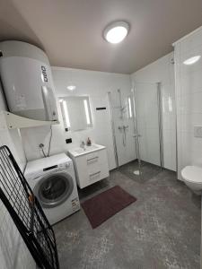 Central apartment from 2025