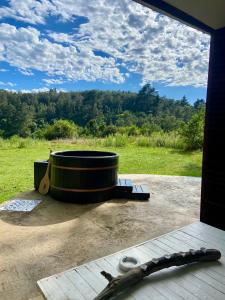 Soul Forest cabin Nature retreat with hot tub