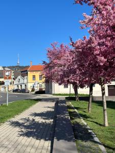 M18 - Csak egy lépés a történelmi belváros - free parking