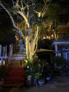 Đưa Nhau Đi Trốn