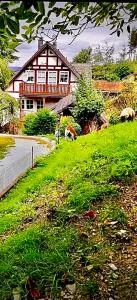 Ferienwohnung Dörnberg erleben mit Tiere bei Winterberg - Ramsbeck