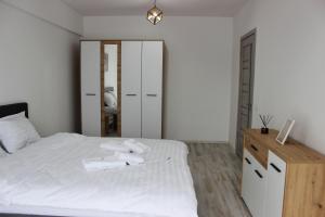 Cozy Apartments in Centre of Suceava near Kaufland and University