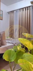 10th Floor Facing Amenity