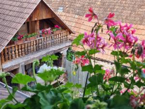 Maisons d'hotes Le Gambrinus Chambres d'hotes et restaurant : photos des chambres