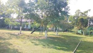 The Wild Tiger Resort