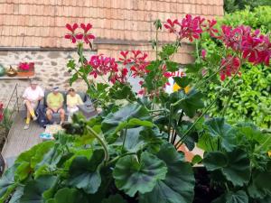 Maisons d'hotes Le Gambrinus Chambres d'hotes et restaurant : photos des chambres