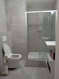 Nový apartmán v centru, soukromé parkování