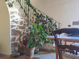 B&B S'Omu Antiga img21