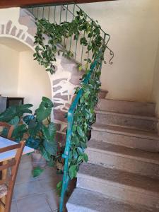 B&B S'Omu Antiga img23