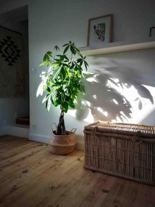 Proche des plages, piscine extérieure