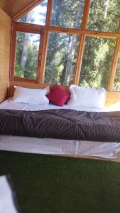 Seo bagh cottages narkanda