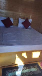 Seo bagh cottages narkanda