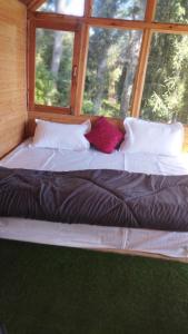 Seo bagh cottages narkanda