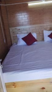 Seo bagh cottages narkanda