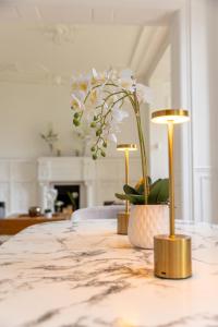 Appartements Hotel particulier - Le 119 : photos des chambres