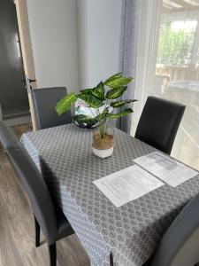 Campings Ocean Soleil Relax Mobil Home LaPignade 4 etoiles : photos des chambres