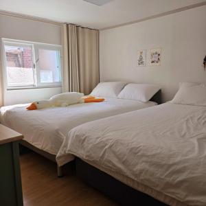 Kozy Stay,신당역도보4분,동대문,ddp,명동,홍대,경복궁,서울타워,종로,강남,이태원,잠실,K-pop