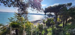 Appartements Les trois plages : photos des chambres