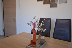 Apartman Viola Vižula