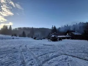 Pensjonat Leśniczówka Zieleniec - 杜什尼基-兹德鲁伊