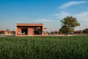 Mharo Khet Jodhpur